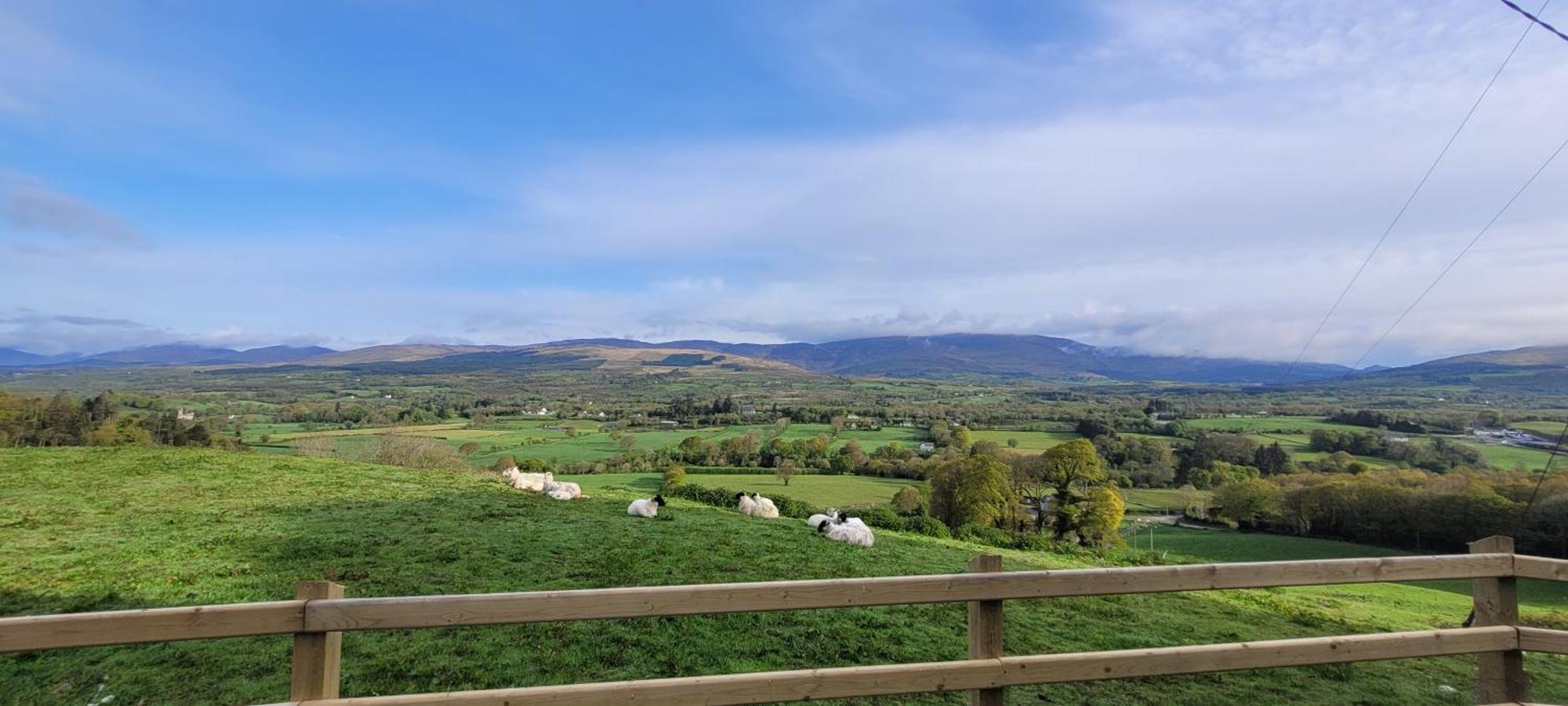 Country Suite - Spectacular Views Kilgarvan Exterior photo